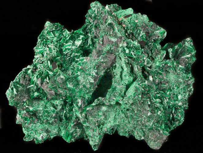 Fibrous Malachite Crystal Cluster - Congo #45317